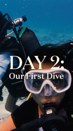 Villa Park Maldives family holiday day 2 reel