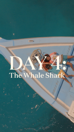 Villa Park Maldives family holiday day 4 reel