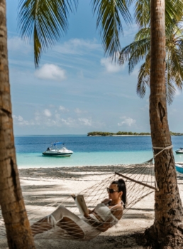Palm-fringed beach at Royal Island Maldives in Baa Atoll UNESCO Biosphere Reserve